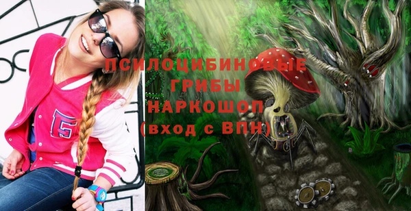 винт Алексин