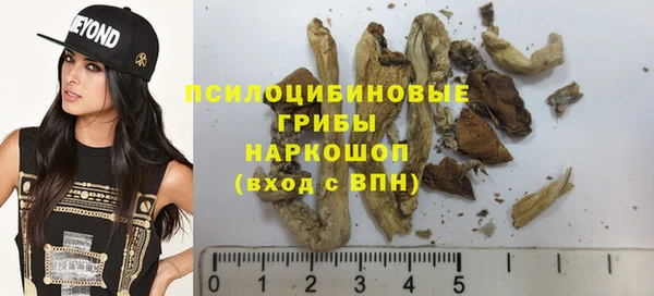 винт Алексин