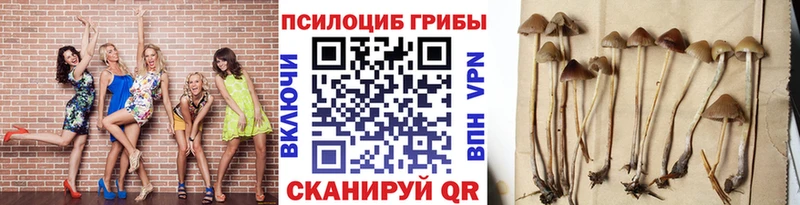 Псилоцибиновые грибы ЛСД  купить   Канаш 